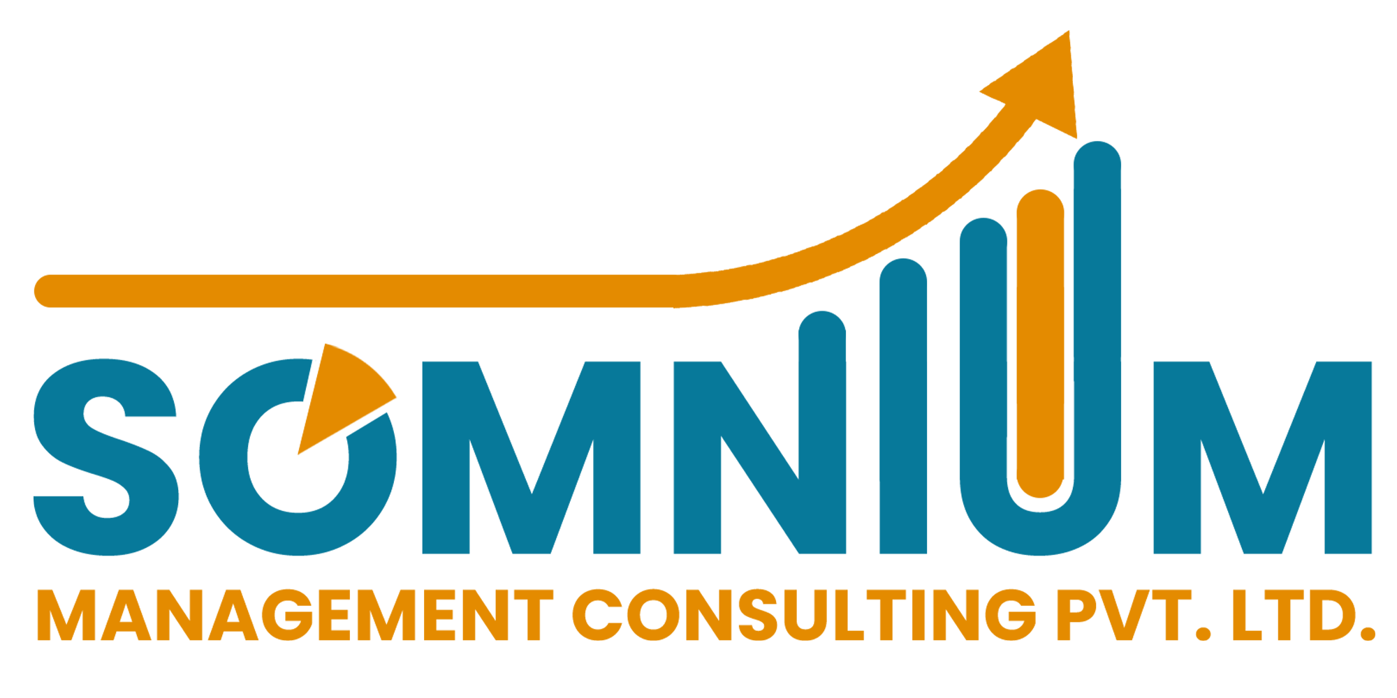 Somnium Management Consulting
